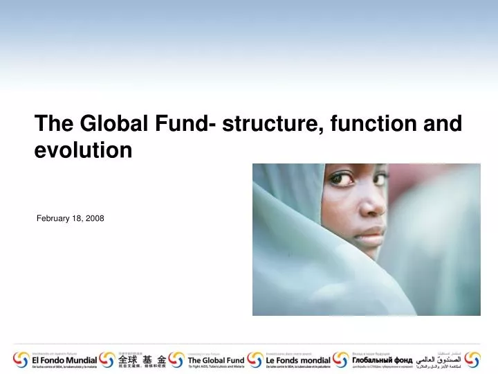 the global fund structure function and evolution