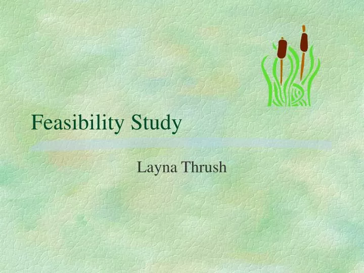 feasibility study