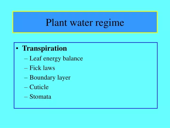 plant water regime