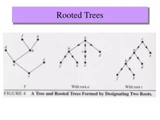 Rooted Trees