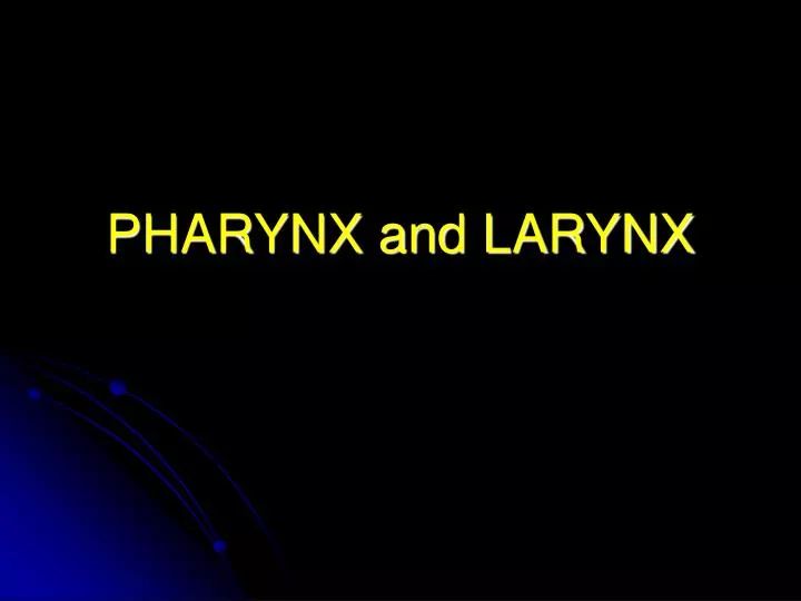 pharynx and larynx
