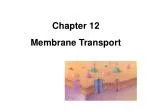 Chapter 12 - slide 1