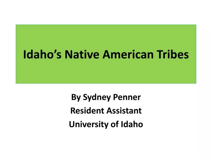 idaho s native american tribes