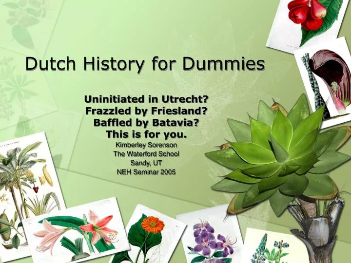 dutch history for dummies