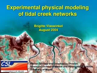 Experimental physical modeling of tidal creek networks