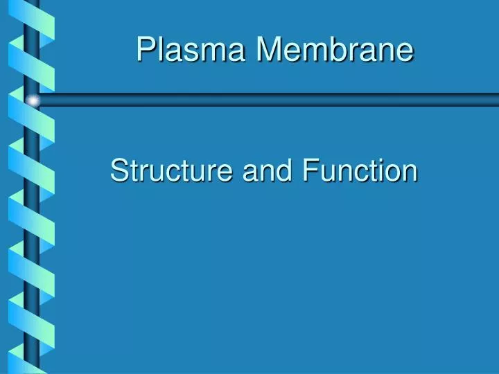 plasma membrane