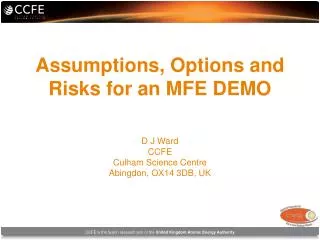 Assumptions, Options and Risks for an MFE DEMO