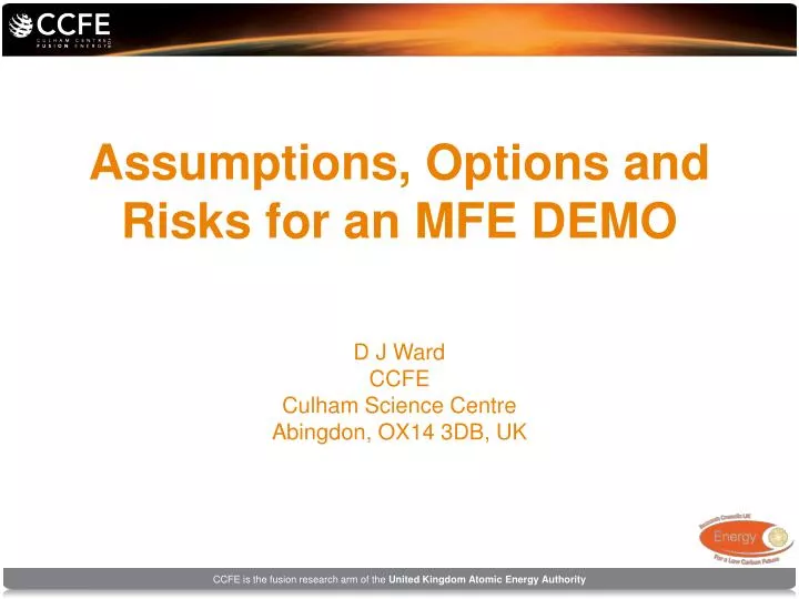 assumptions options and risks for an mfe demo