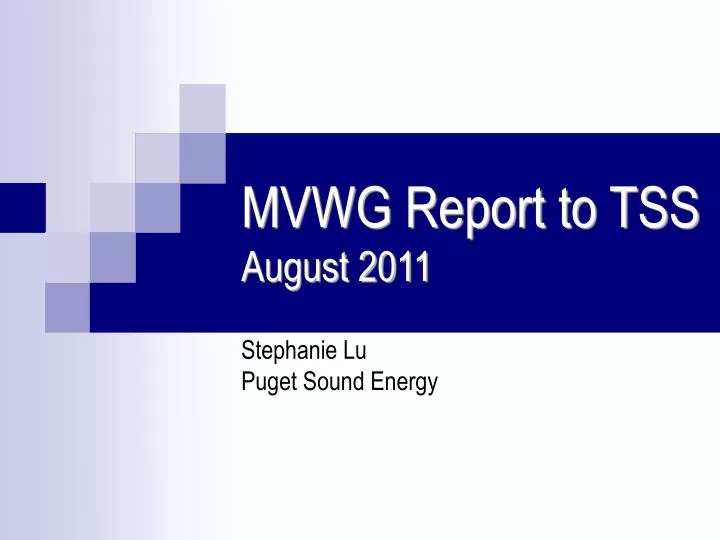mvwg report to tss august 2011