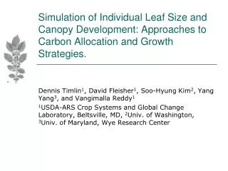 Simulation of Individual Leaf Size and Canopy Development: Approaches to Carbon Allocation and Growth Strategies.