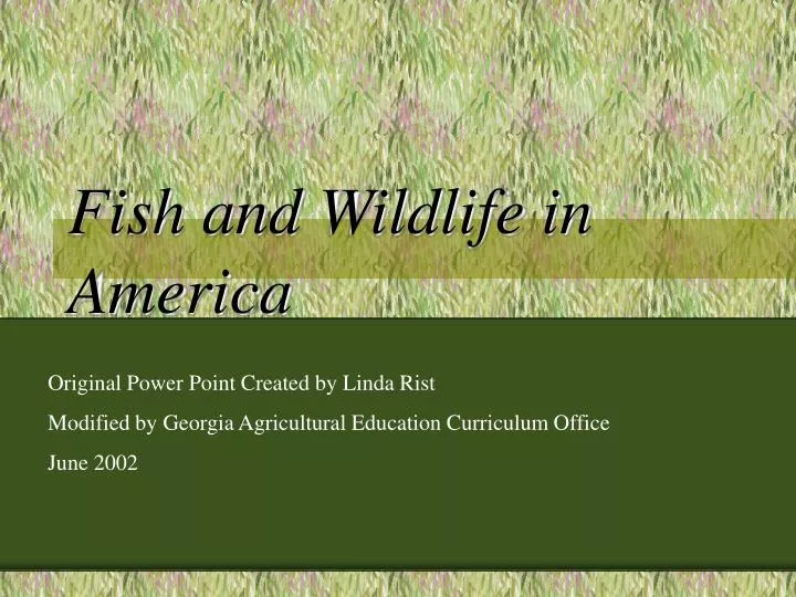 fish and wildlife in america