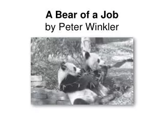 A Bear of a Job by Peter Winkler