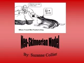 Neo-Skinnerian Model