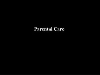 Parental Care