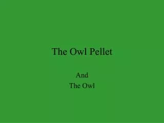 The Owl Pellet