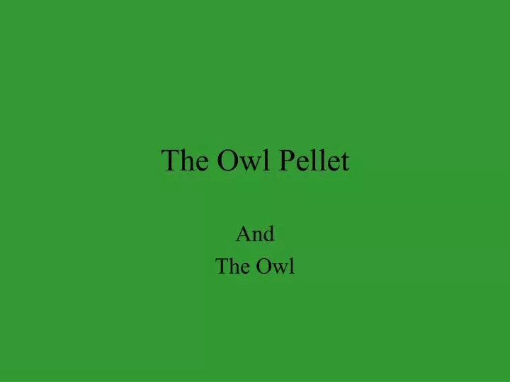 the owl pellet