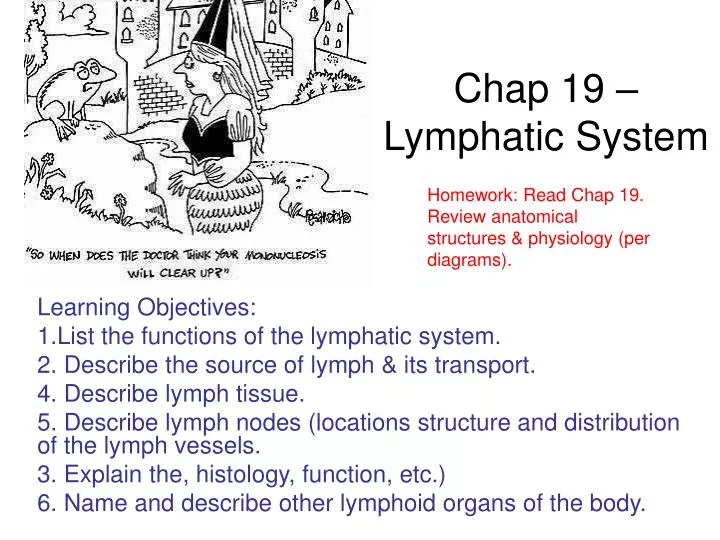 chap 19 lymphatic system