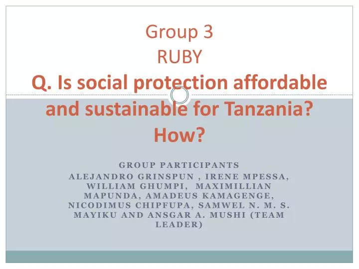 group 3 ruby q is social protection affordable and sustainable for tanzania how