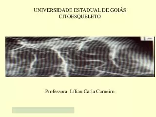 UNIVERSIDADE ESTADUAL DE GOIÁS CITOESQUELETO Professora: Lílian Carla Carneiro