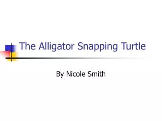 The Alligator Snapping Turtle