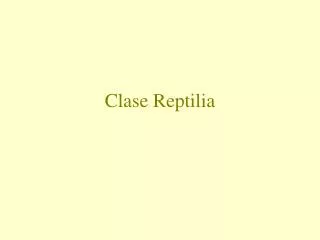 clase reptilia