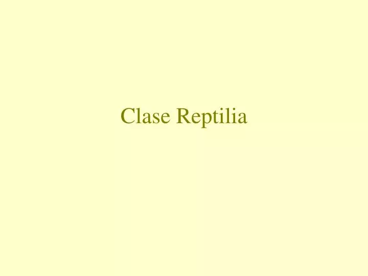clase reptilia