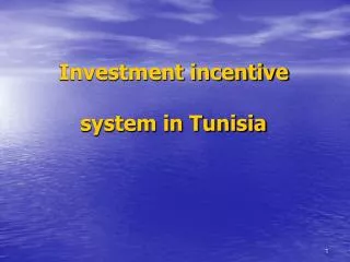 Investment incentive system in Tunisia