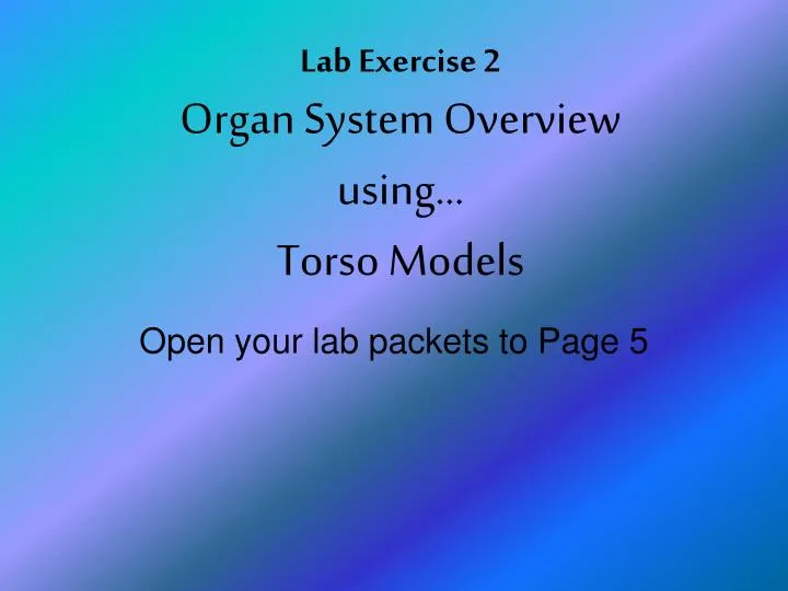 lab exercise 2 organ system overview using torso models