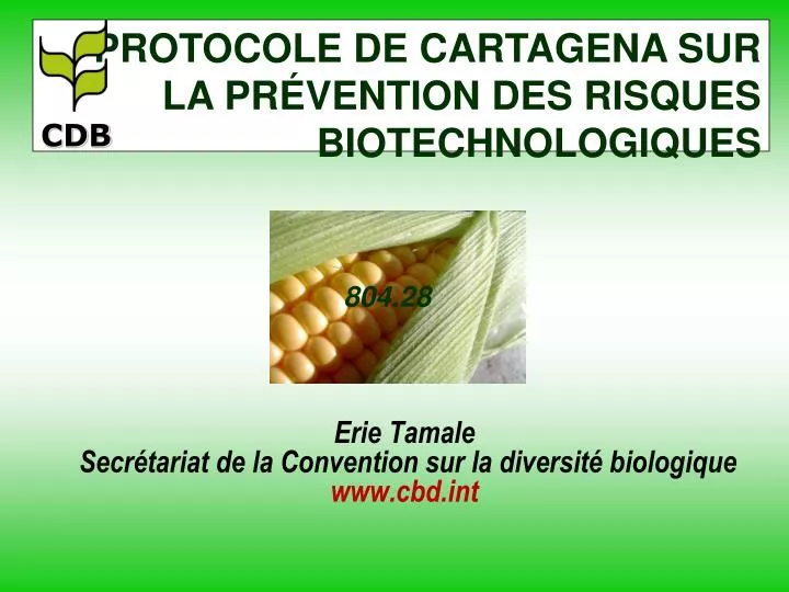 erie tamale secr tariat de la convention sur la diversit biologique www cbd int