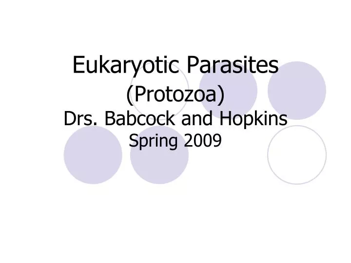 eukaryotic parasites protozoa drs babcock and hopkins spring 2009