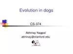 Evolution in dogs