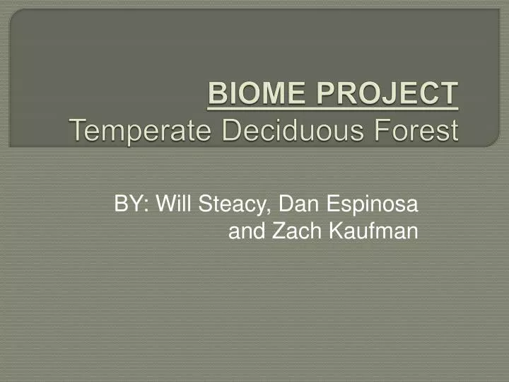 biome project temperate deciduous forest