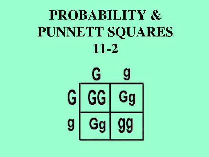probability punnett squares 11 2