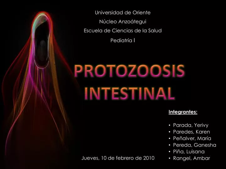 protozoosis intestinal