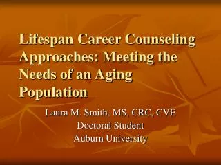 Lifespan Career Counseling Approaches: Meeting the Needs of an Aging Population
