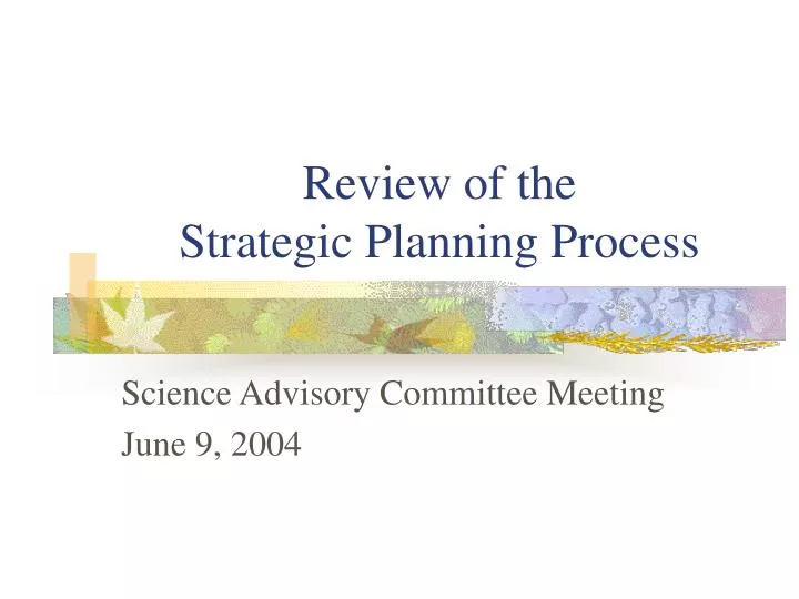 review of the strategic planning process