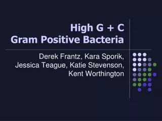 High G + C Gram Positive Bacteria