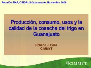 Producción, consumo, usos y la calidad de la cosecha del trigo en Guanajuato Roberto J. Peña CIMMYT