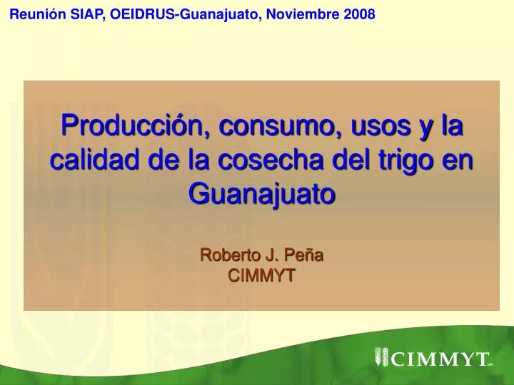 producci n consumo usos y la calidad de la cosecha del trigo en guanajuato roberto j pe a cimmyt