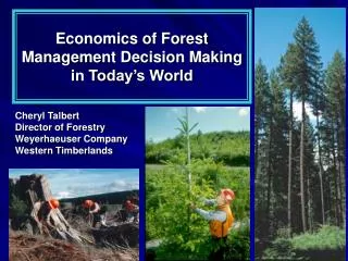 Economics of Forest Management Decision Making in Today’s World