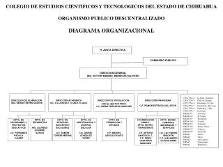 COLEGIO DE ESTUDIOS CIENTIFICOS Y TECNOLOGICOS DEL ESTADO DE CHIHUAHUA ORGANISMO PUBLICO DESCENTRALIZADO DIAGRAMA ORGANI