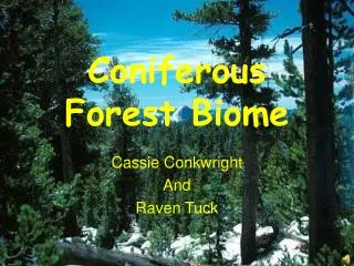 Coniferous Forest Biome