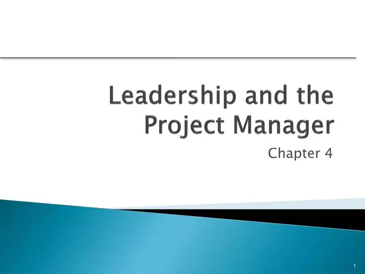 leadership and the project manager