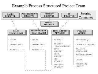Example Process Structured Project Team