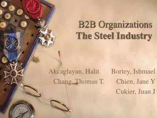 B2B Organizations The Steel Industry