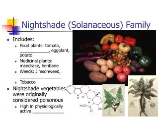 Nightshade (Solanaceous) Family