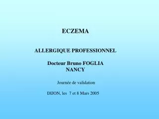 ECZEMA ALLERGIQUE PROFESSIONNEL Docteur Bruno FOGLIA NANCY Journée de validation DIJON, les 7 et 8 Mars 2005