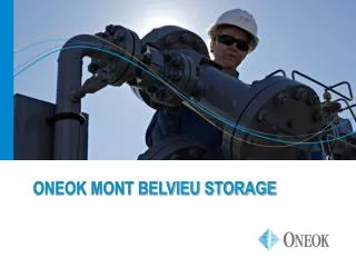 ONEOK MONT BELVIEU STORAGE