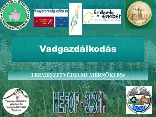 vadgazd lkod s