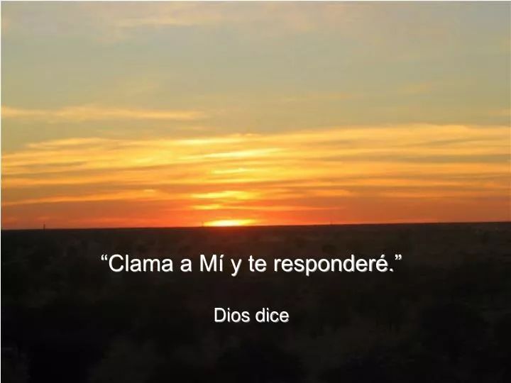 clama a m y te responder dios dice